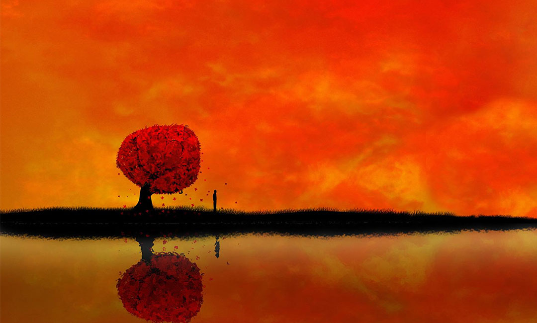 闵行笙影微信朋友圈转发案例