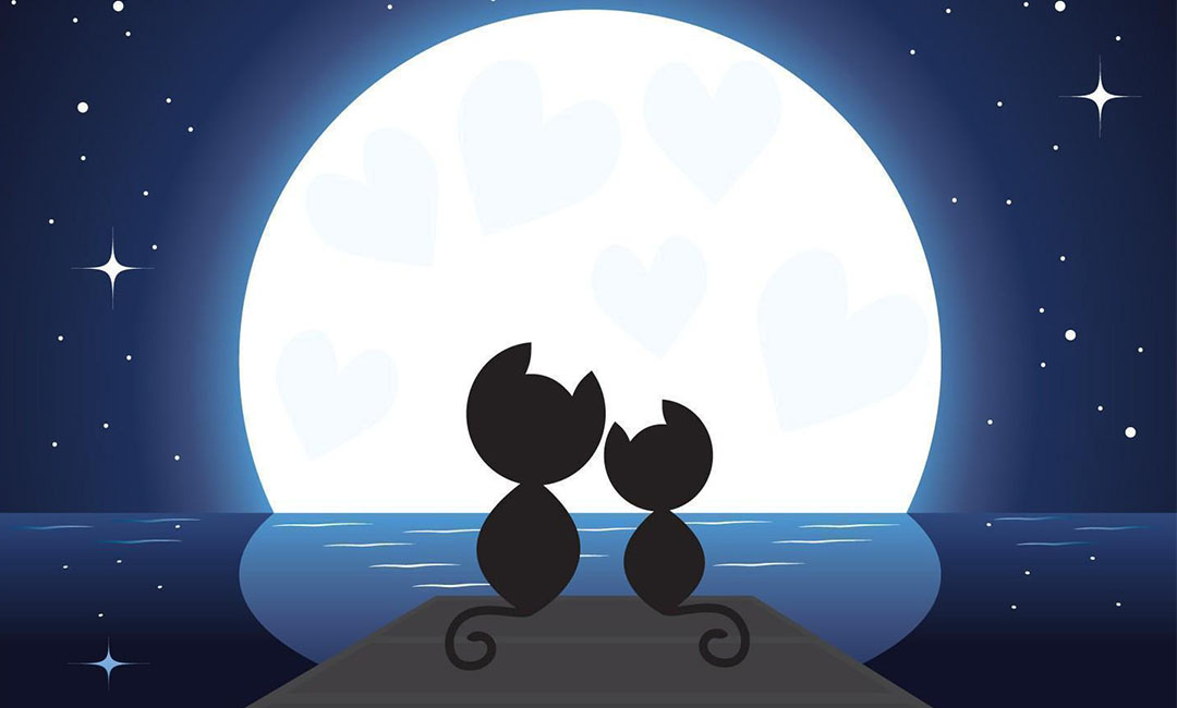 闵行潮客汇微信活动策划案例