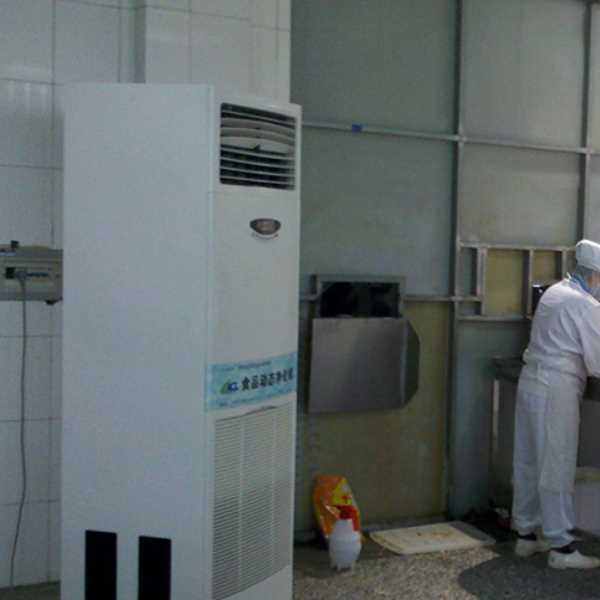 闵行食品正负离子空气杀菌器